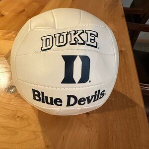 Game Master White Volleyball